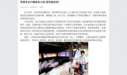 名人新闻爆料大全最新,最新爆料大全深度解析