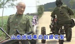 山炮进城3在线观看,带你领略农村与城市的碰撞火花！